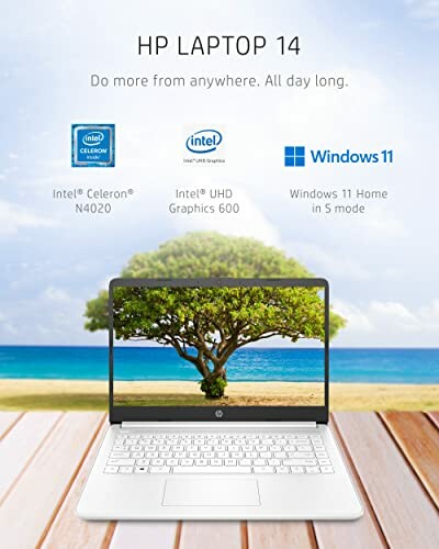 HP Laptop 14 promotional image with Intel Celeron N4020, UHD Graphics 600, Windows 11 Home in S mode features.